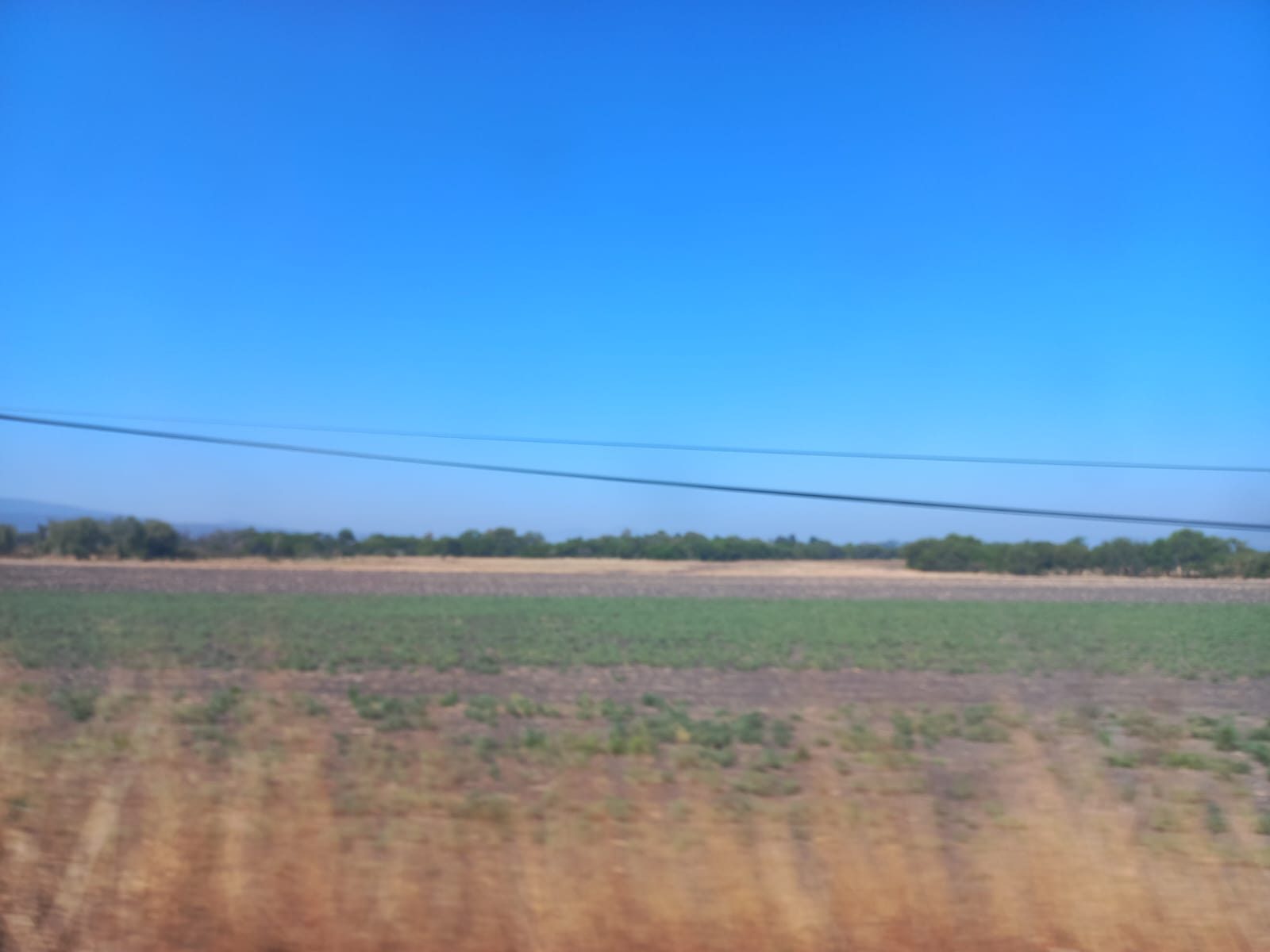 Terreno Venta frente al  ITESI, Plantel Tarimoro, Gto. 49,000 mts.